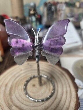 Flourite Butterfly 3 In (Mental Focus) ( B)